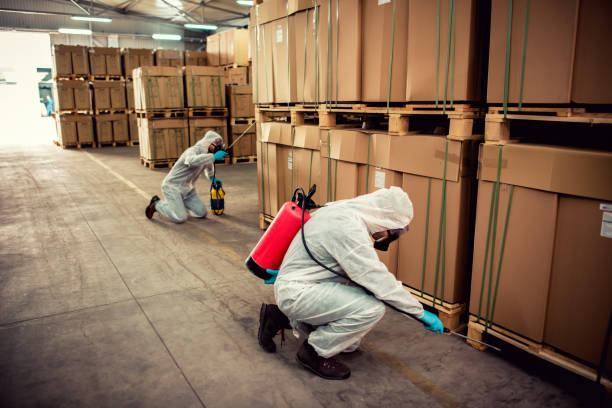 Best Termite Control Services  in Olympia Fields, IL