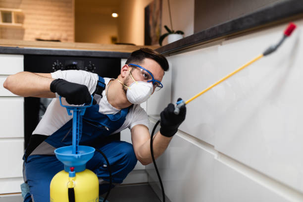 Pest Control Cost in Olympia Fields, IL