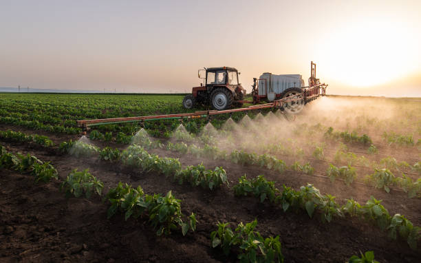 Reliable Olympia Fields, IL Pest Control Solutions