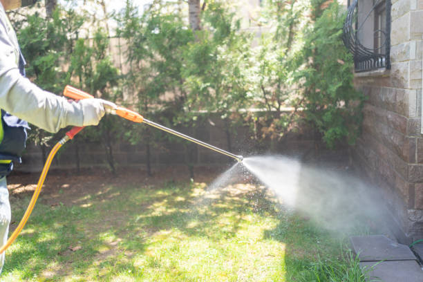 Best Pest Inspection Near Me  in Olympia Fields, IL
