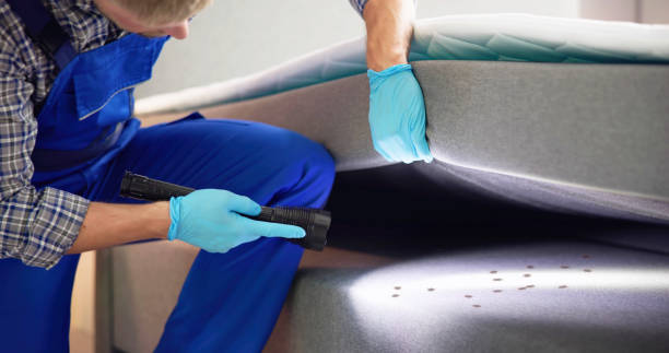 Best Bed Bug Extermination  in Olympia Fields, IL