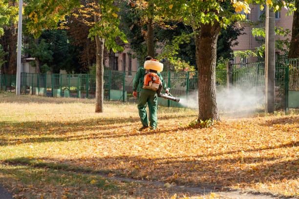 Best Bed Bug Extermination  in Olympia Fields, IL