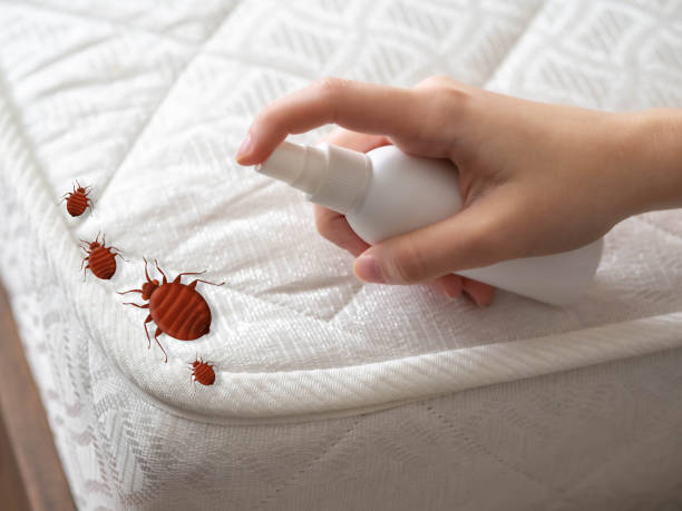 Best Pest Control Near Me in Olympia Fields, IL